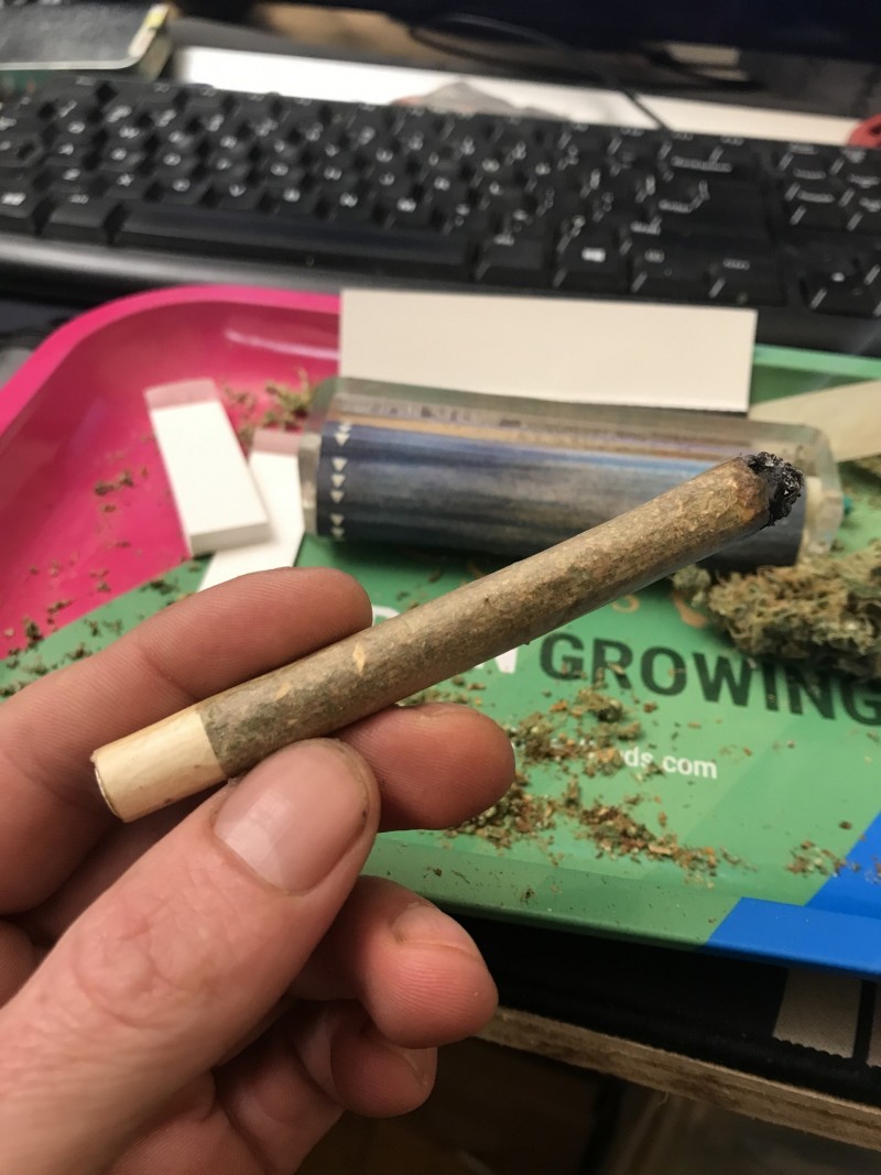 A6286E23-2FCF-4904-9AE5-01BDF151F115