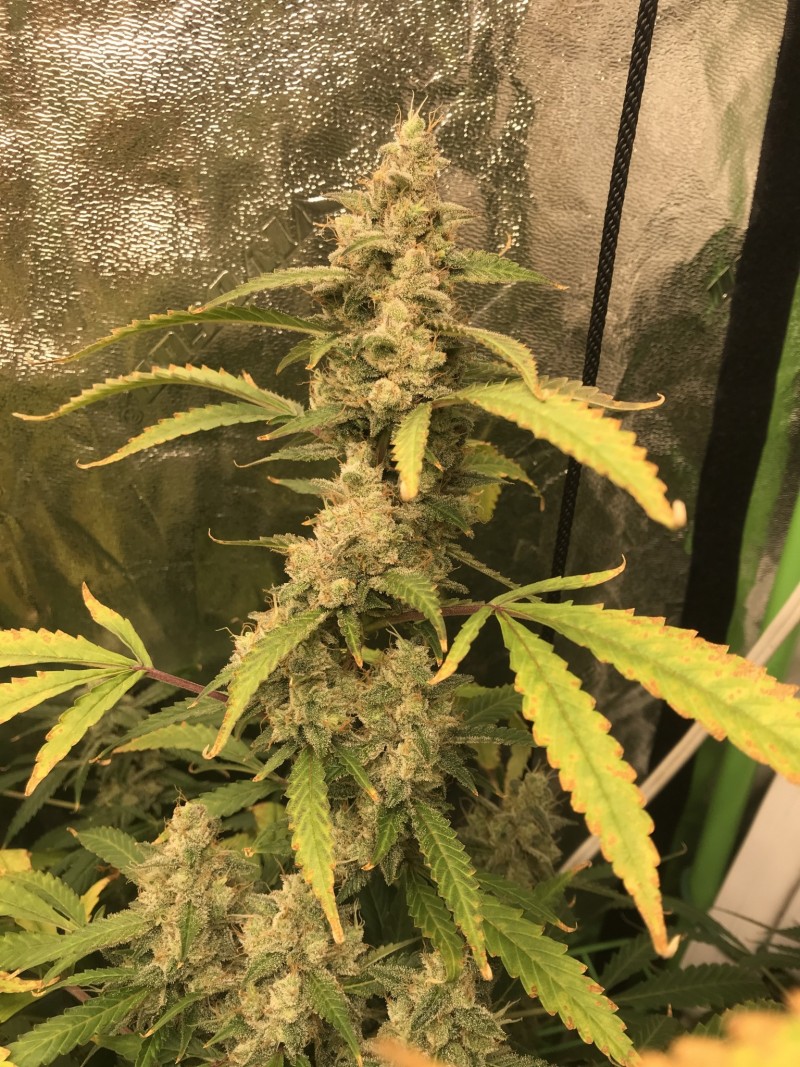 613C23C0-4E7E-4B87-8224-BE0E9A492ED5