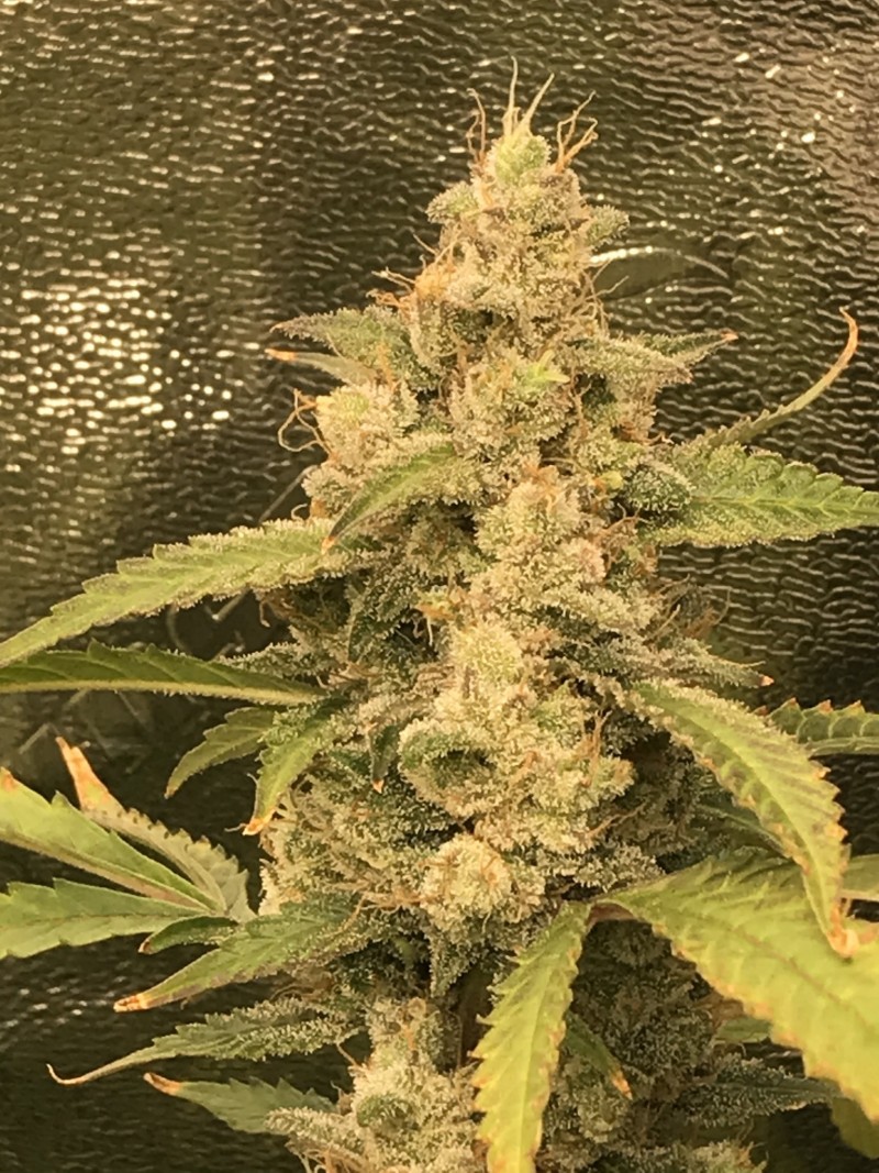 16F845AB-72C3-4663-84D9-2341504835F9