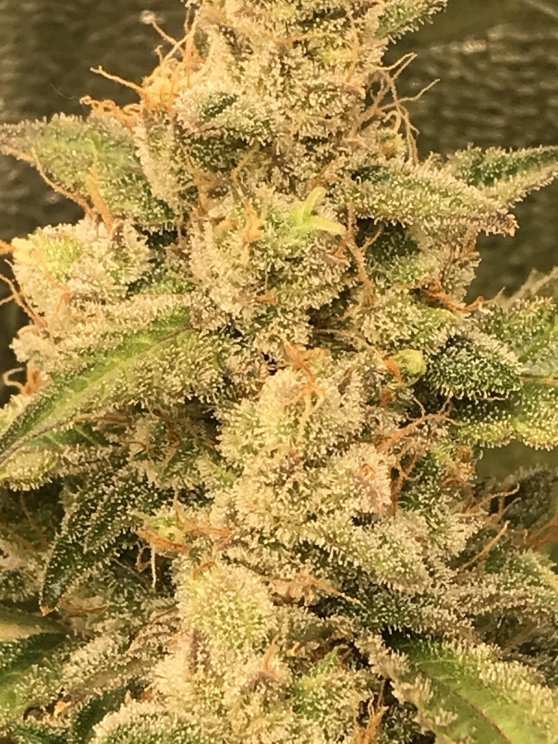 9EC50D7F-DA07-4DB7-A182-7077BA7A5E11