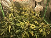 C2F34EA9-AE3E-4756-A082-83B1AC8F3800