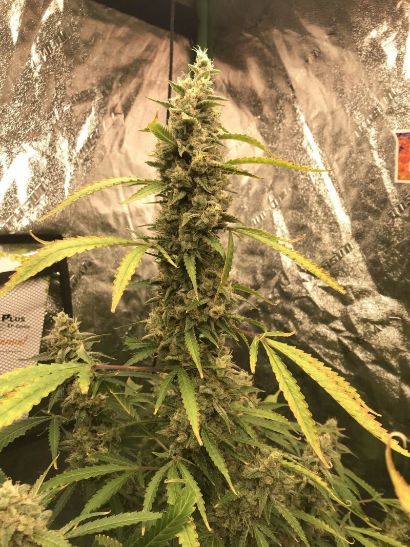 4ECDC3F1-9042-4297-8EE2-83938817366E