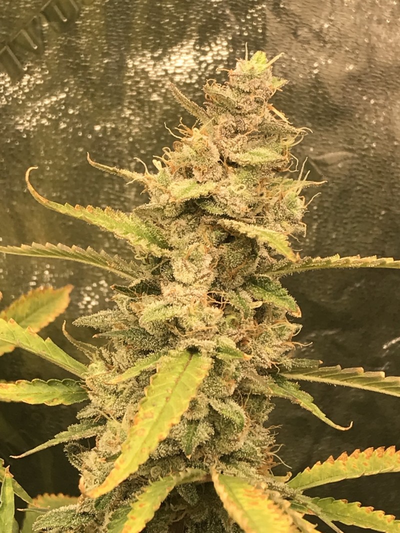 552F3DBB-7153-40A1-9396-99D3F17C1A0A