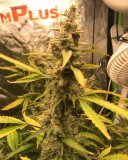 538B4A2B-4C85-48C8-8C1C-C0186A521C44