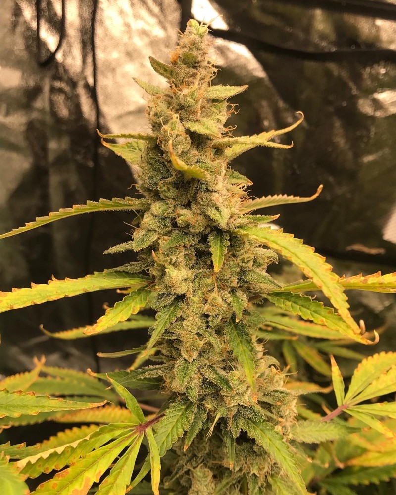 10631D31-13FF-4BA8-9E4F-449F0B6B2DFF