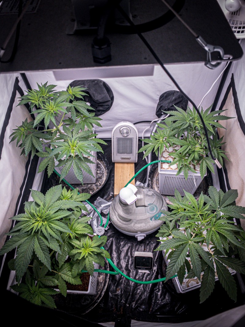 EB3E5394-7A2C-4E5B-AE0E-4BDFEE2A9CDE