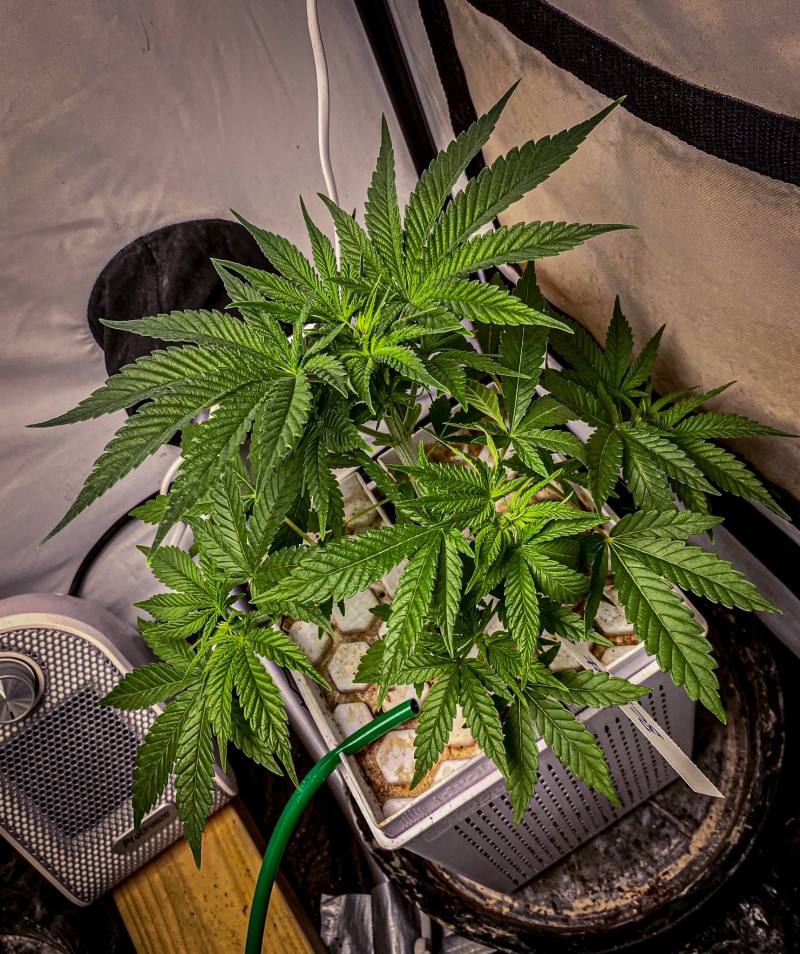 2DC838A8-F3FB-4B37-9200-917A5DCAFABE