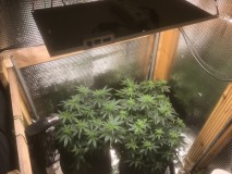 E613B320-B730-4E07-A834-133583CD8628