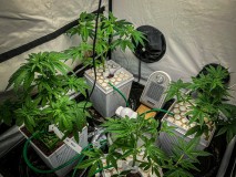 98B47B8A-1BFD-4AFA-9F20-5A1E14C8EE4F