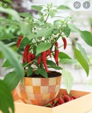 5362AA56-C670-4252-B962-83215F0561C3