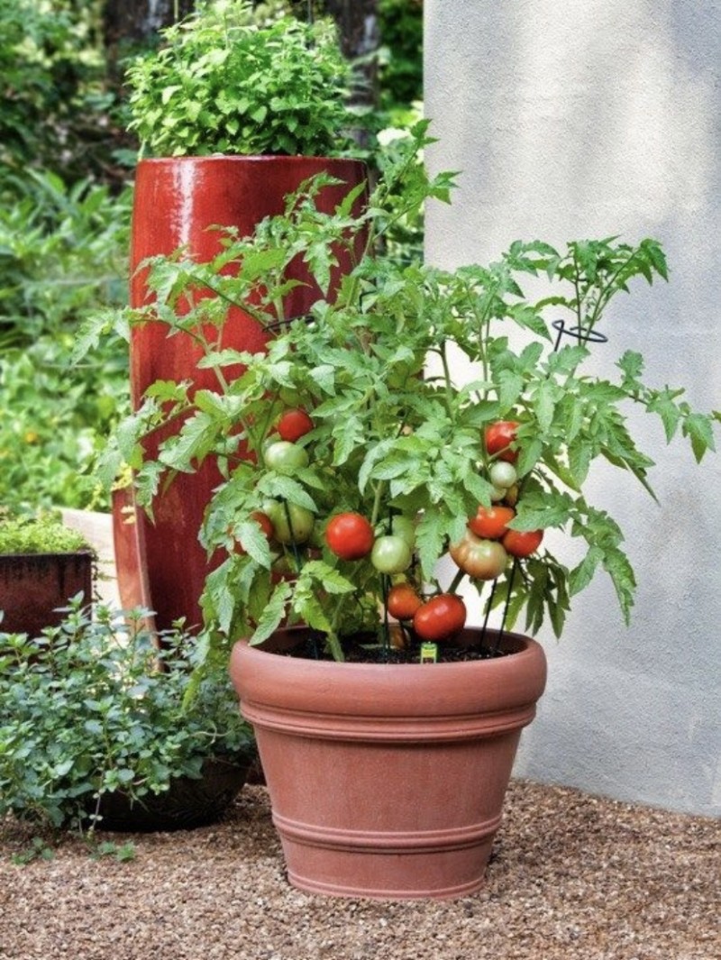 3B238E80-A2B0-4694-969C-E6AED23D069D