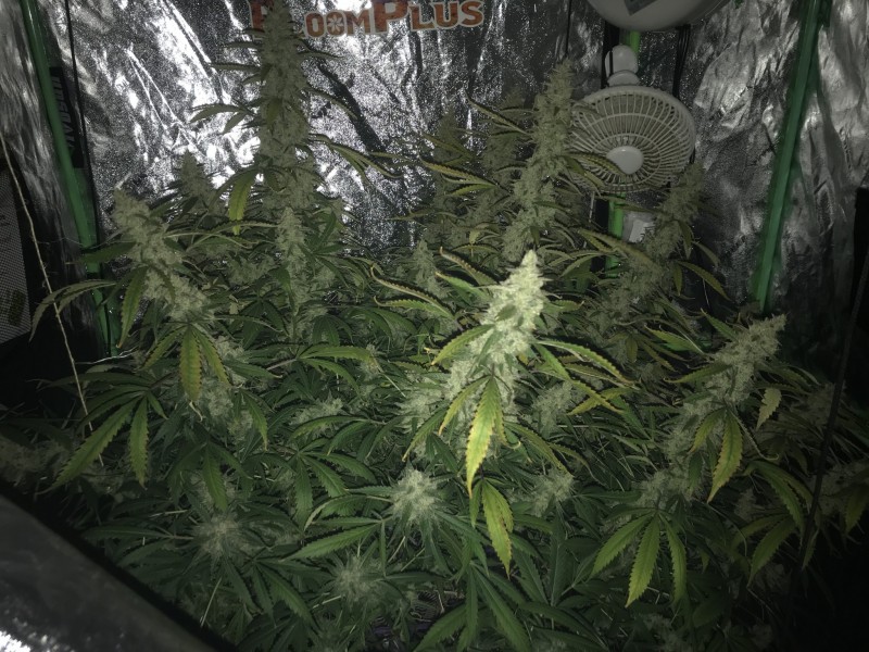 064A0A9D-904B-4792-AEB5-AC3DEB7A146D