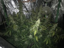 064A0A9D-904B-4792-AEB5-AC3DEB7A146D