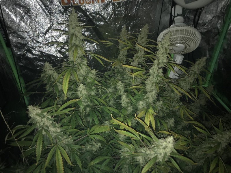 0B125244-348B-4375-93EF-4BBBC6FC9D87