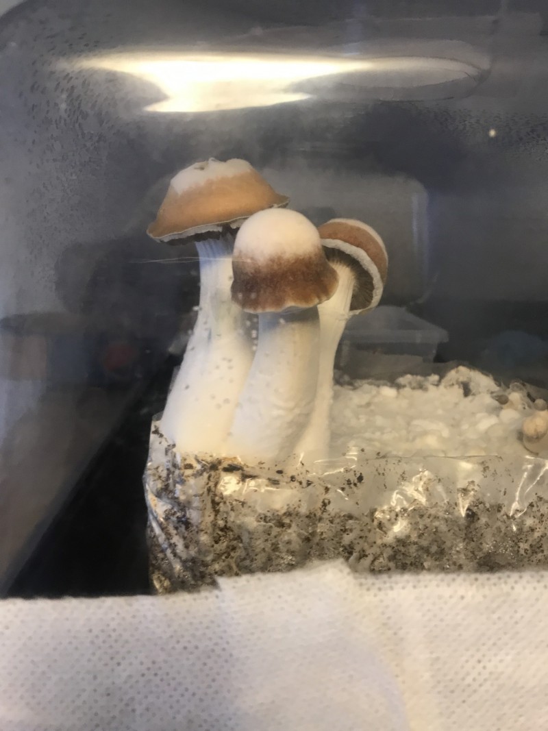 8BBF8BA1-9600-40A3-AA4C-7AA67213B41A