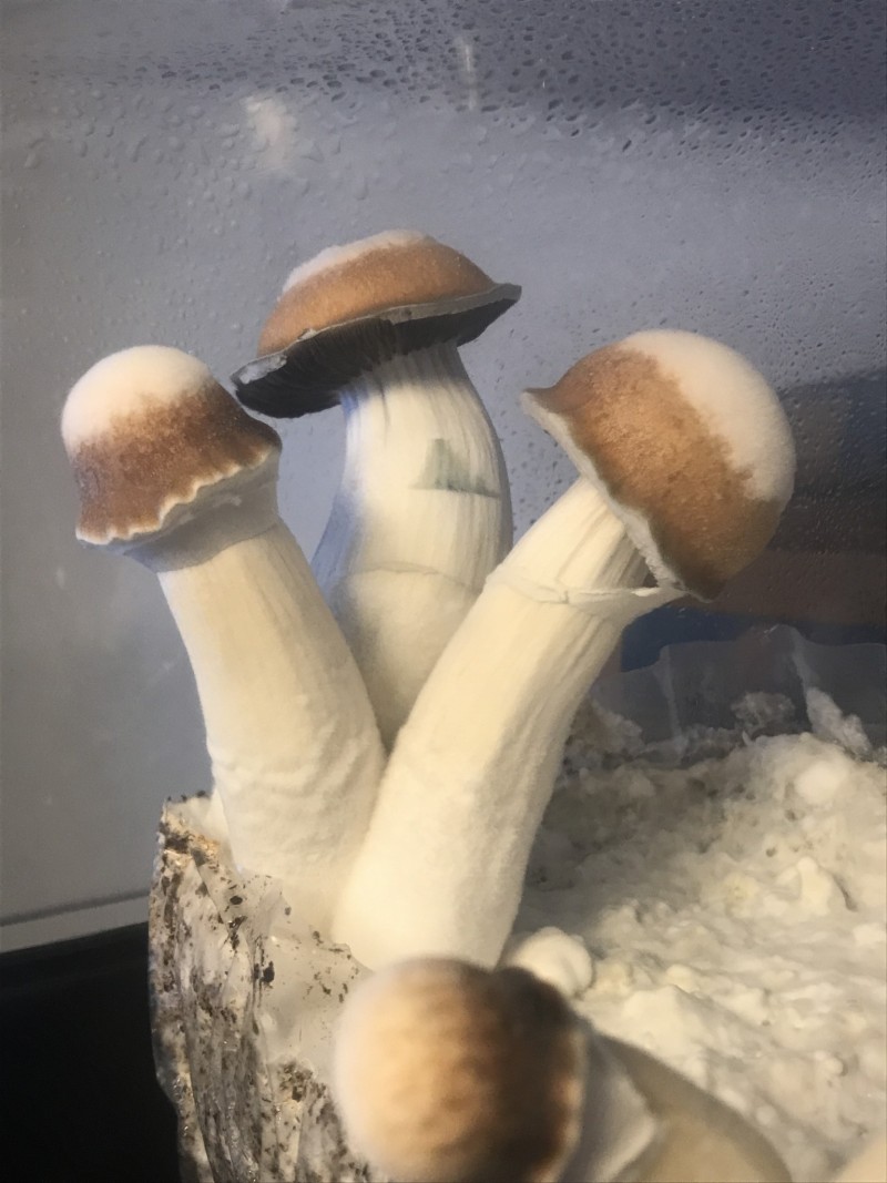 3CD97945-D434-47AF-A3F3-3E221FDF3311