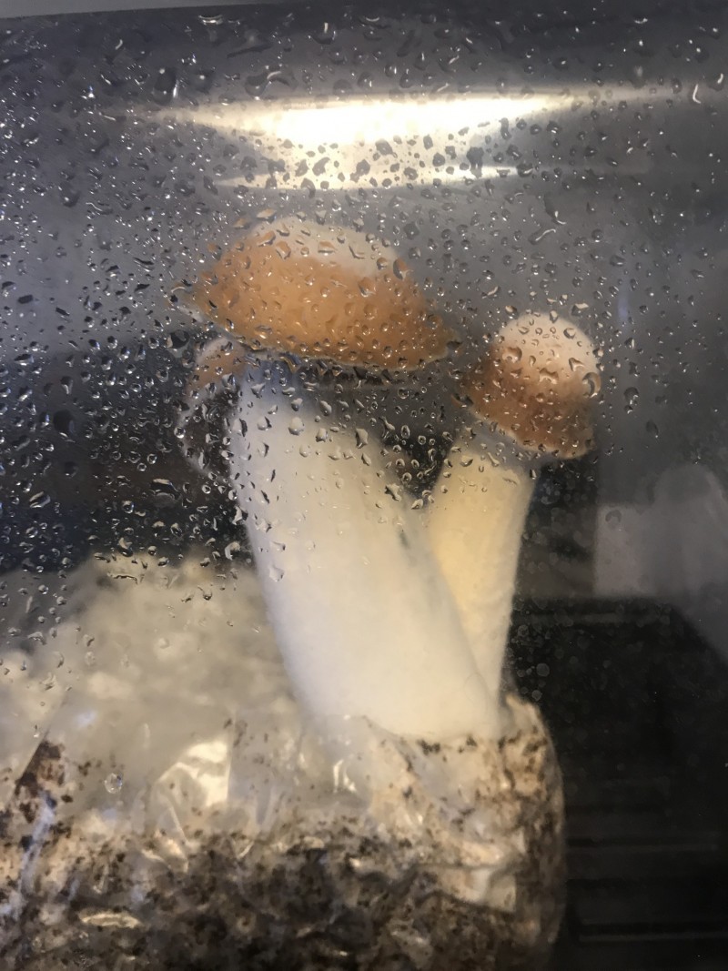 3AD49E11-5921-42A3-B220-A760F83D95ED