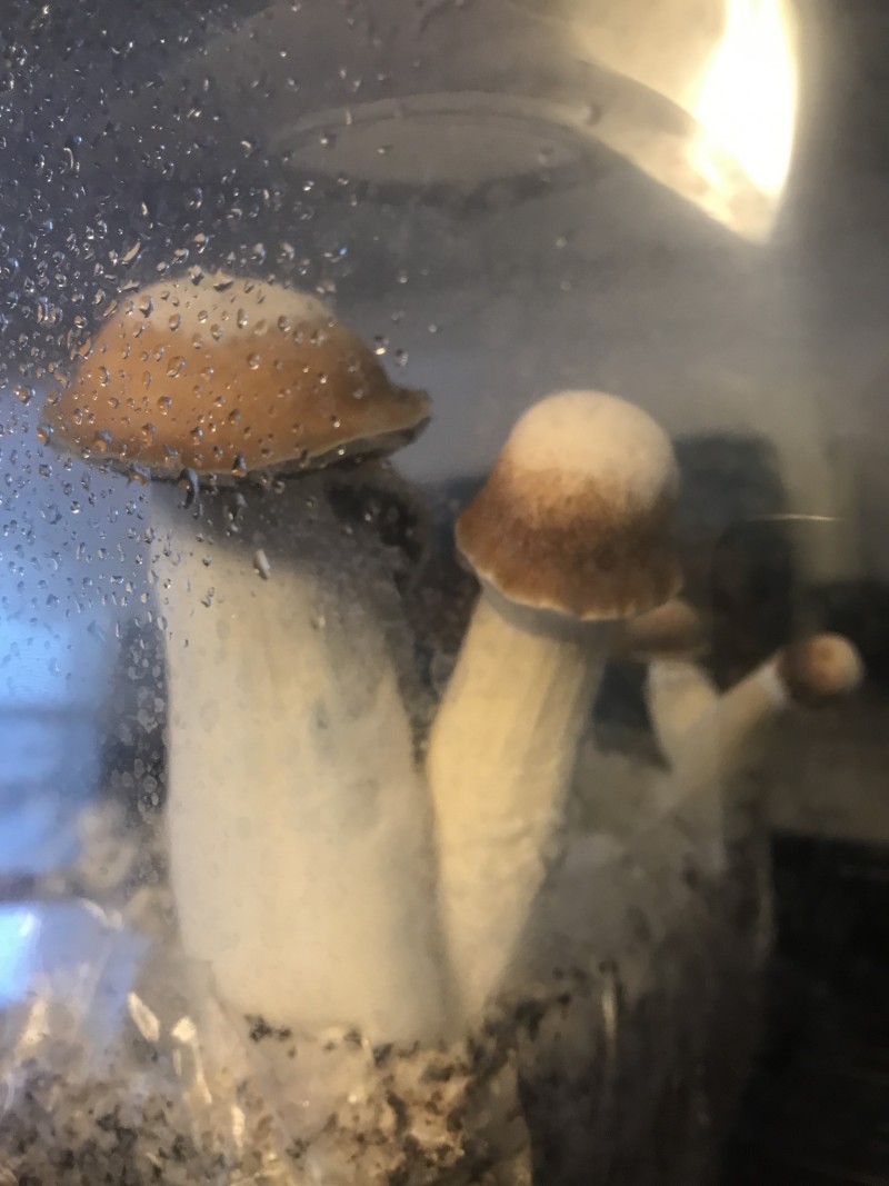 8BD677C4-EF97-4D31-88AD-14E8AC3A9B28