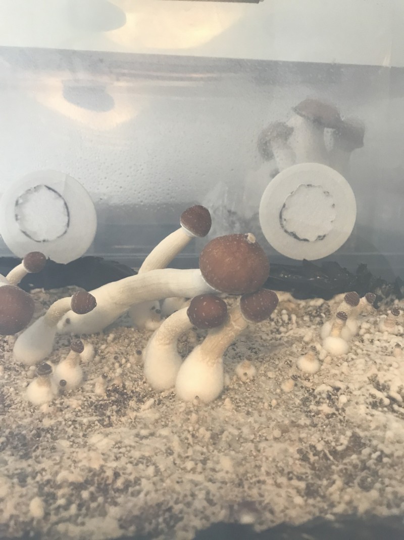 90E1B900-F458-4ABE-A5F4-CE356EABE219