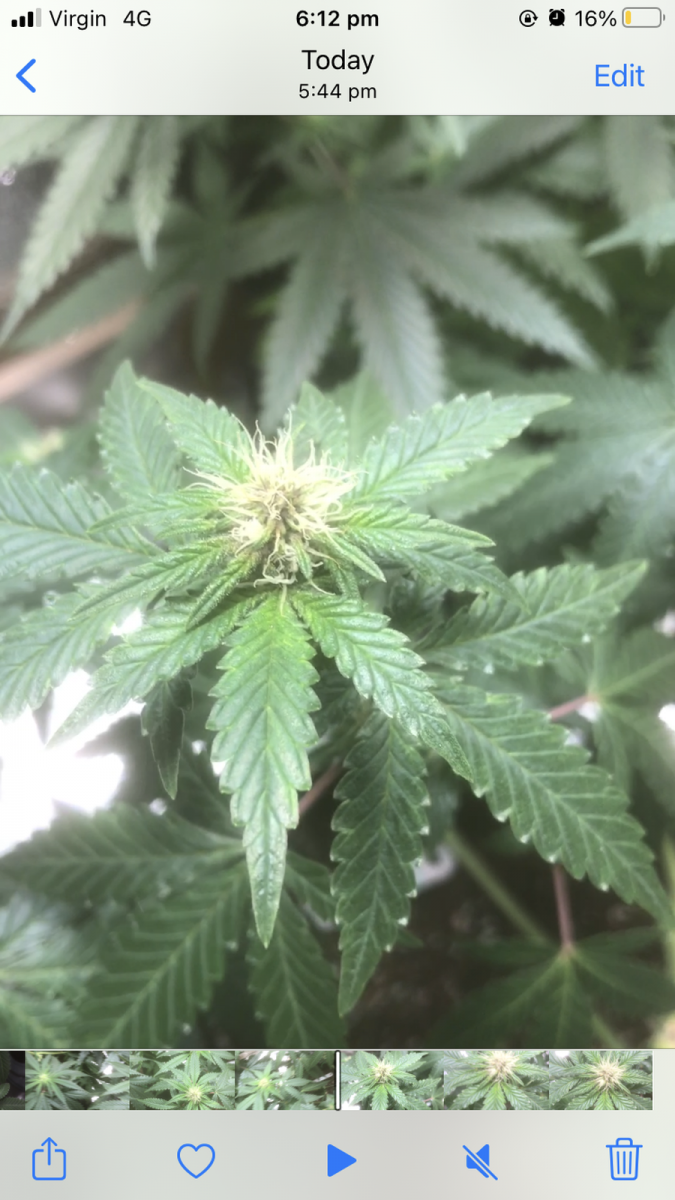 3A9C73DA-6064-47AA-ACAC-087721C5F3DB