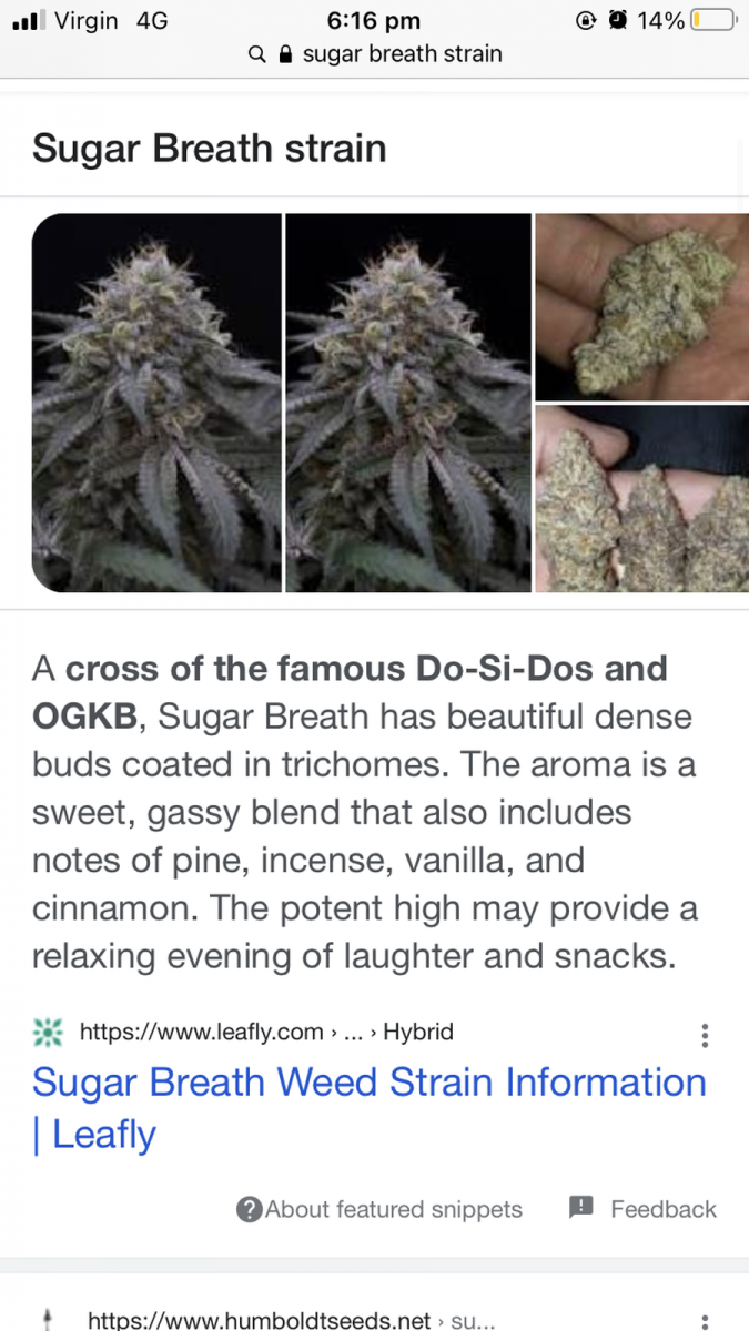 69A4236E-973F-430A-8A85-8AD68E90448D