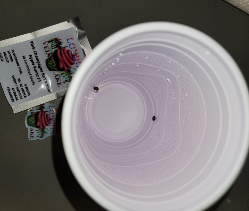 IMG_20220115_193836_218