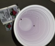 IMG_20220115_193836_218