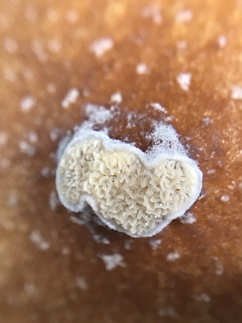 3A992719-1E43-4084-ABD8-97844D95BD94