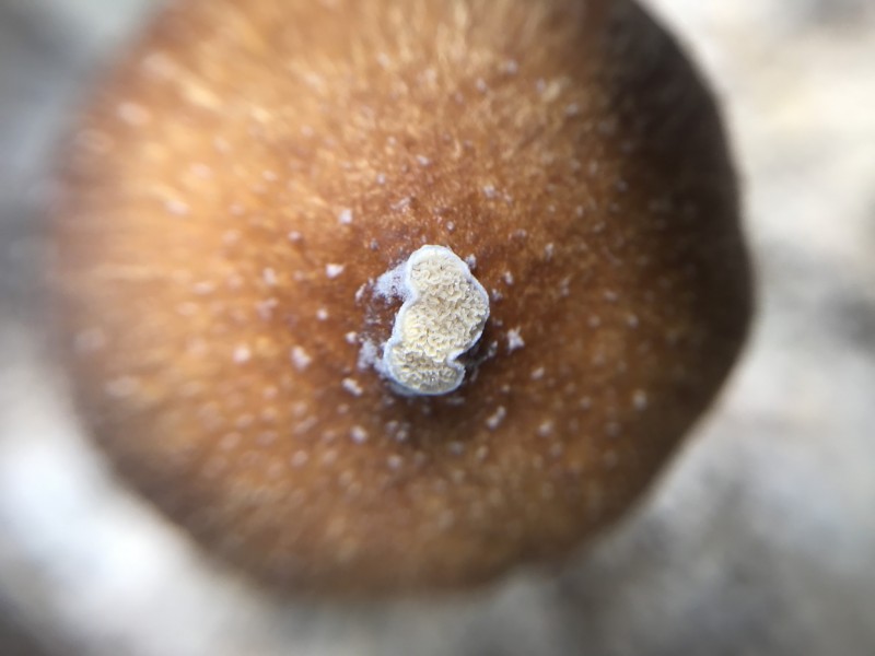 8144A51C-01EF-45B2-A215-6718F581672D