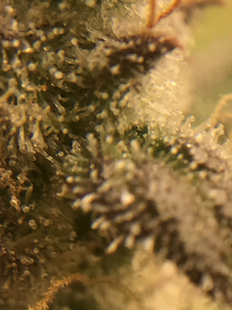 DCB87678-E5F1-41F7-A35C-C129E0DC2BE7