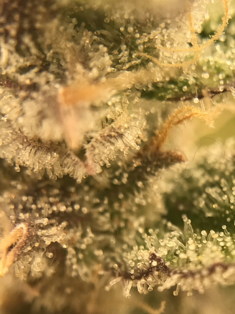 201AEA96-02C6-476F-8899-2B58B9811283