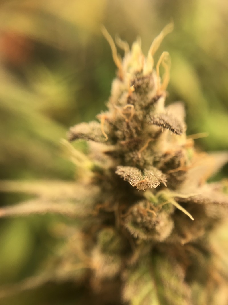 6502E03D-B8FD-4062-8C8E-7F2B675695D0