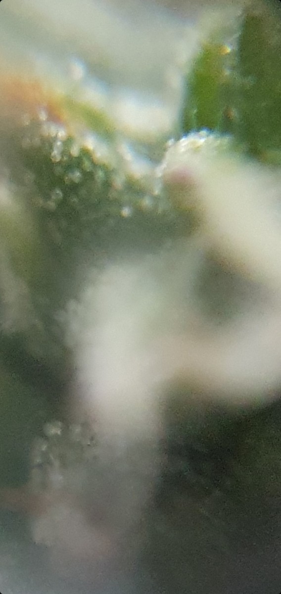 Screenshot_20220119-213020_Gallery