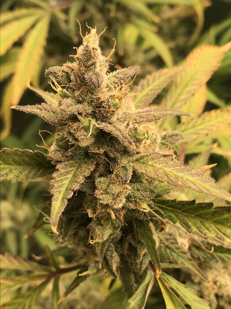 7B24AB9C-FB43-4885-AD08-105BAEE56176