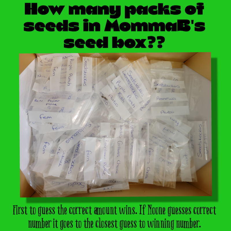 project_20220119_2242194-01