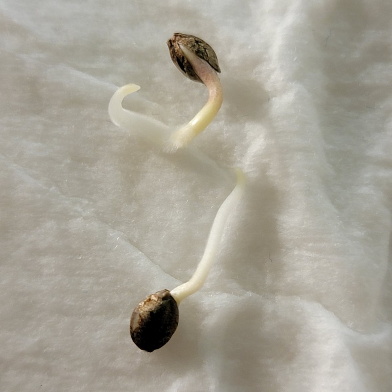 IMG_20220119_210057_657