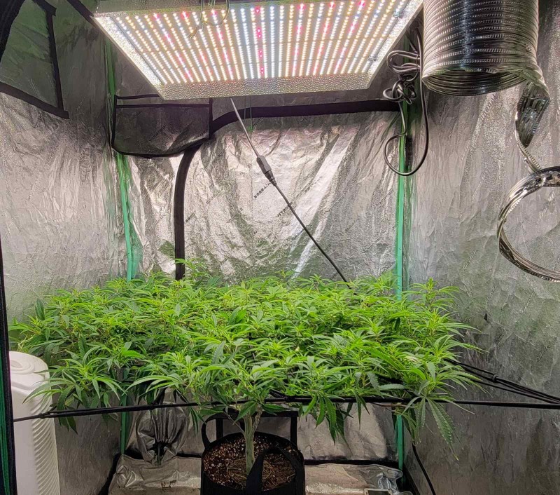 IMG_20220119_205624_336