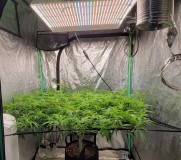 IMG_20220119_205624_336