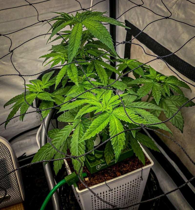 6127541C-BCA6-4FE4-9DB9-DB5D05D50BA2