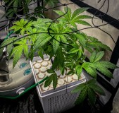 4B45C884-78BF-499D-B527-F7F94A85D1F4