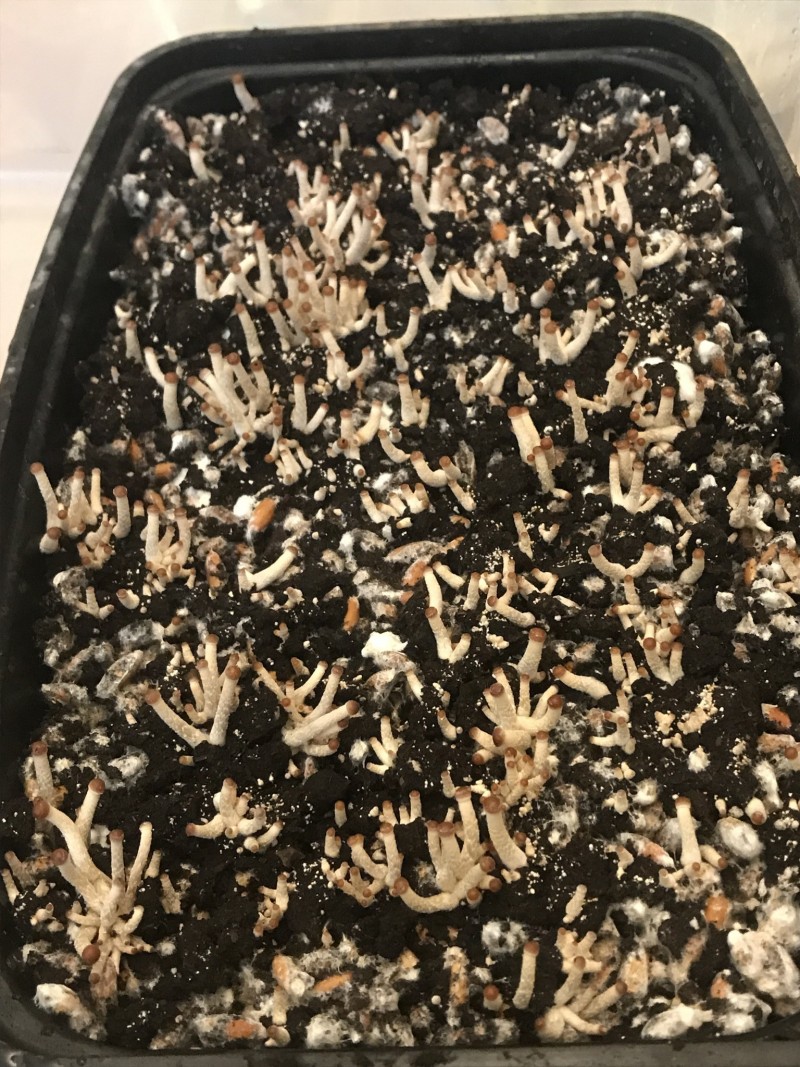 2B6FB6CE-6AE3-46ED-B4F1-556279645FDC