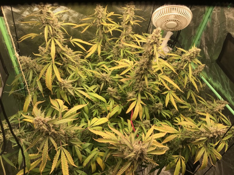 761C1437-3056-44CA-A0B1-86F62A0EE1B6