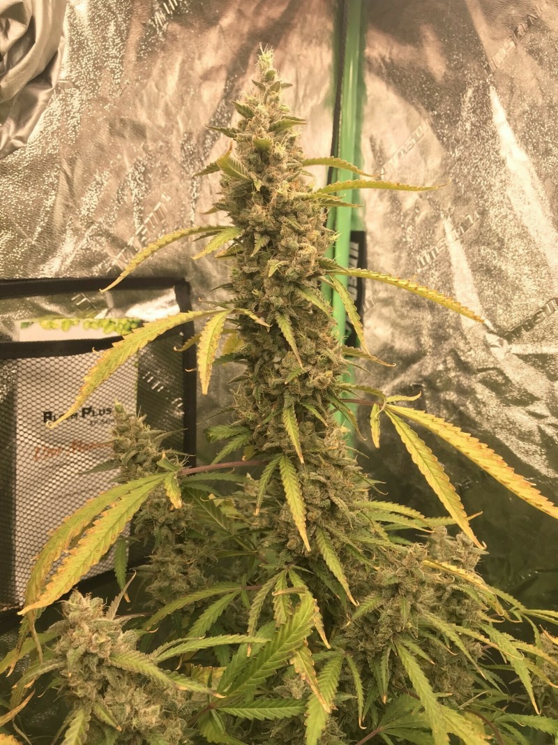 8C854FAF-F282-4F00-BB13-B938D285D97D