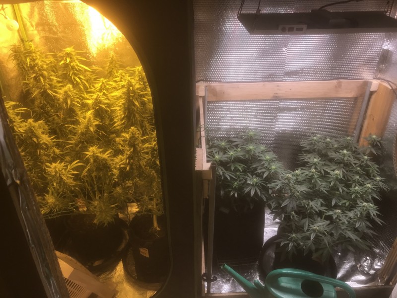 0663246C-2FE0-4C67-94BF-E08DC818BD8B