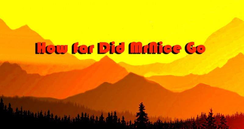 How far did MrNice Go