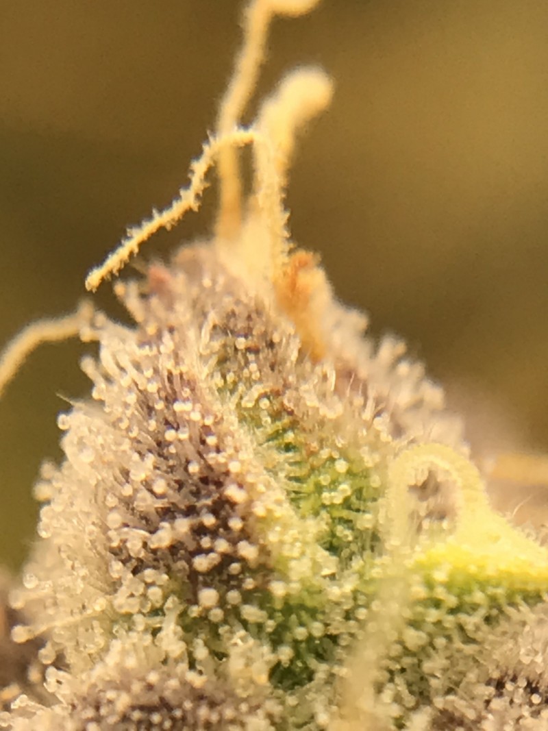 1A2C59E3-3797-49D2-A1C7-A9E2E5F676C9