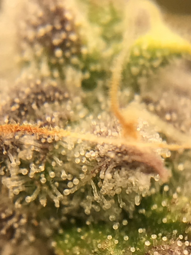 0764D373-5658-458F-AC91-B3C892A90986