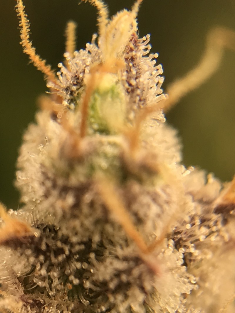 64EB41C6-F667-424E-9099-69A1FD833D5D