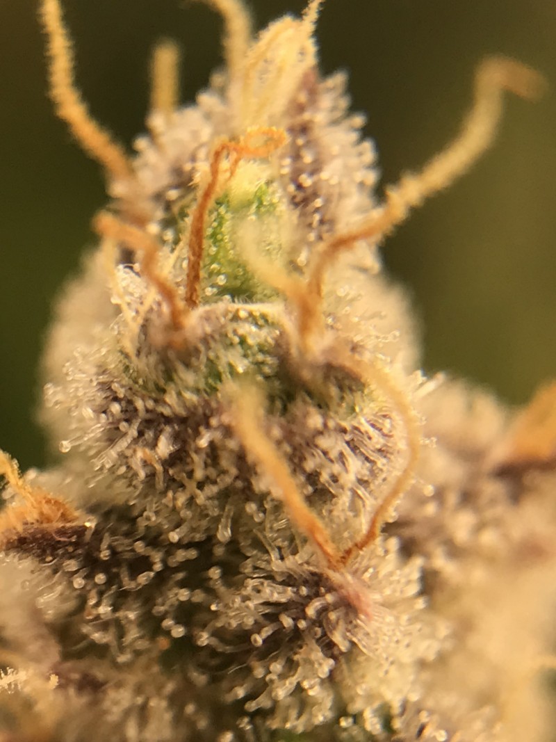 1724968A-8292-472A-94C1-91A62396868D