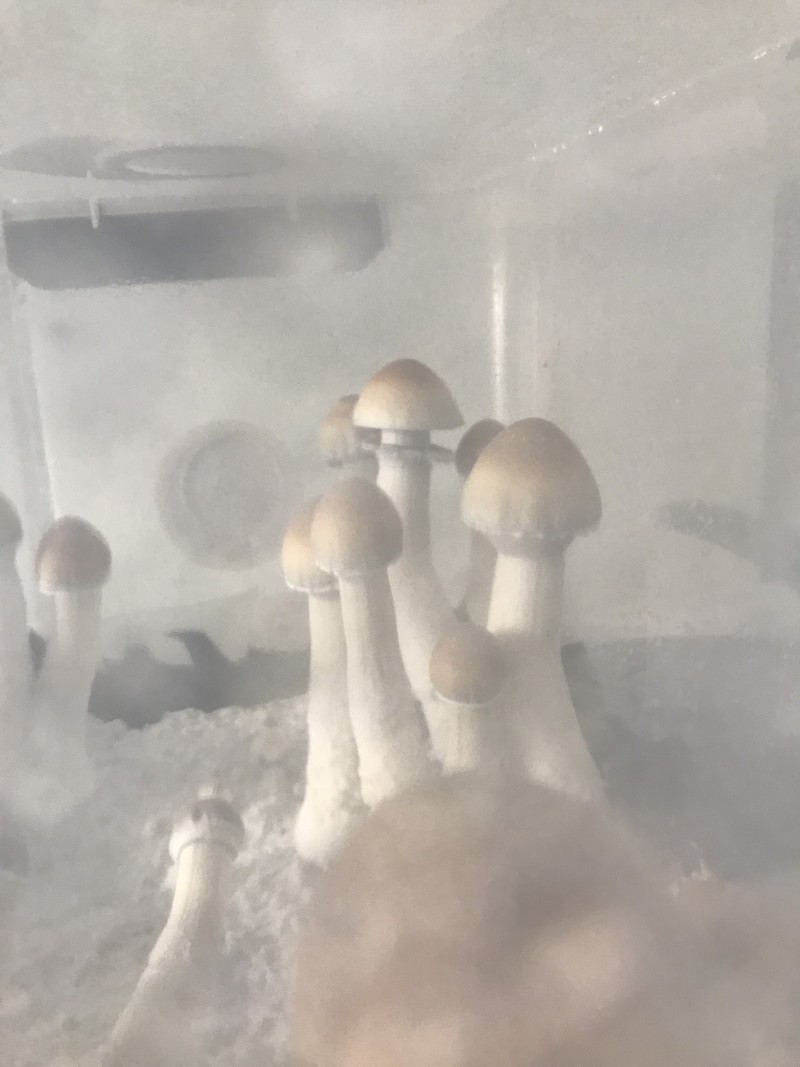 B27D9665-6475-42D0-8CB7-3C4823246BE3